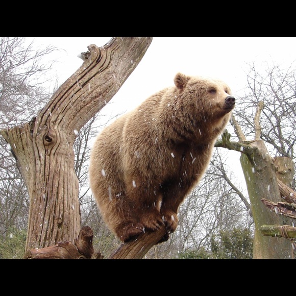 A settling thought 💭 - Picture 3 of 3